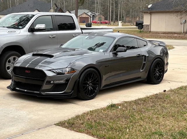 Mustang 2.webp