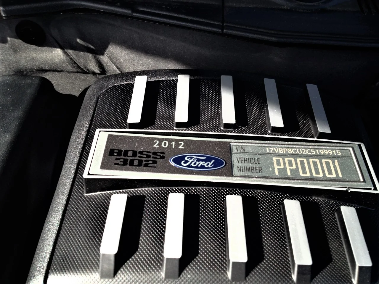 PP0001-5 (2).webp