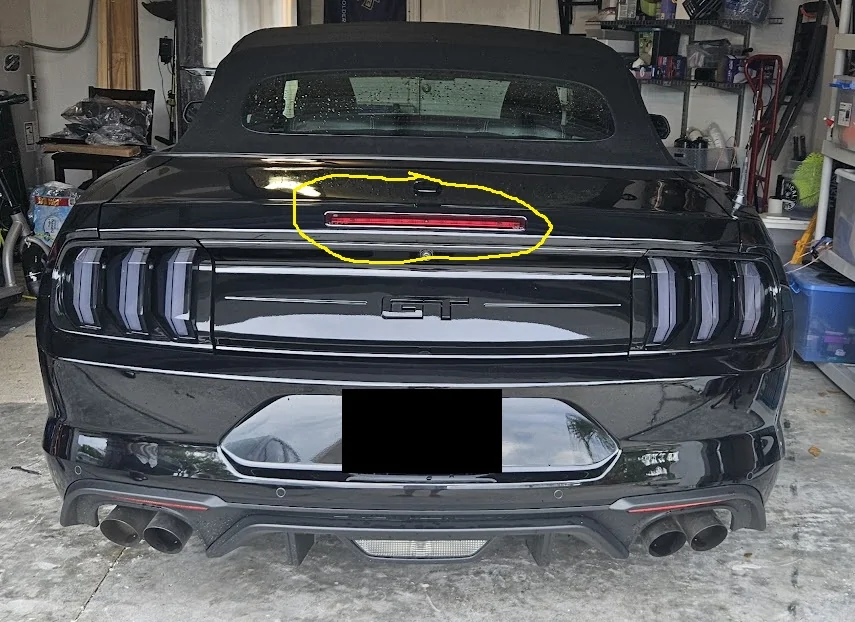 car_back.webp