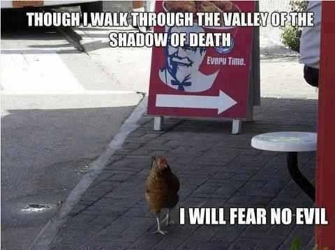 chicken crossed the valley.jpg