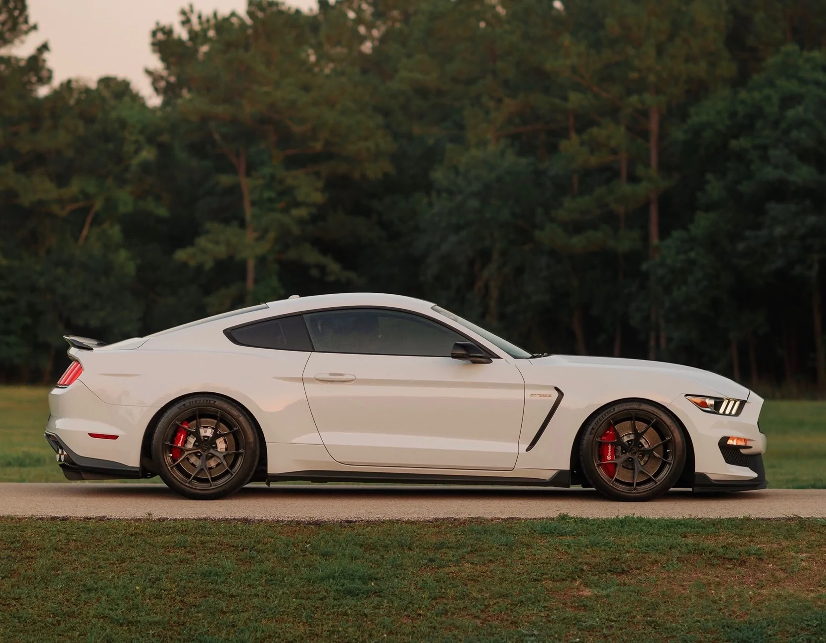 Theo-Graphics - Shelby GT350-37_Original.webp