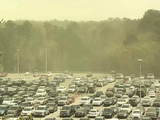 pollenpocalypse, Durham, NC, 2019.webp