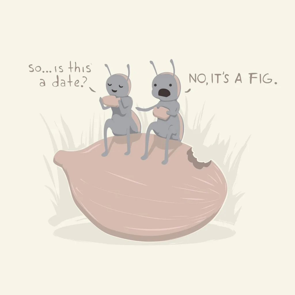 1774471262728-qs.webp