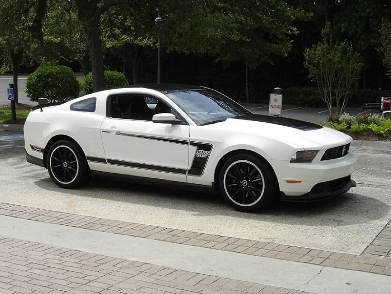 PP0002 038.webp