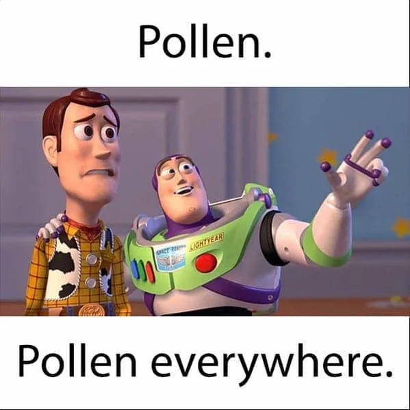 pollen everywhere, Buzz Lightyear.webp