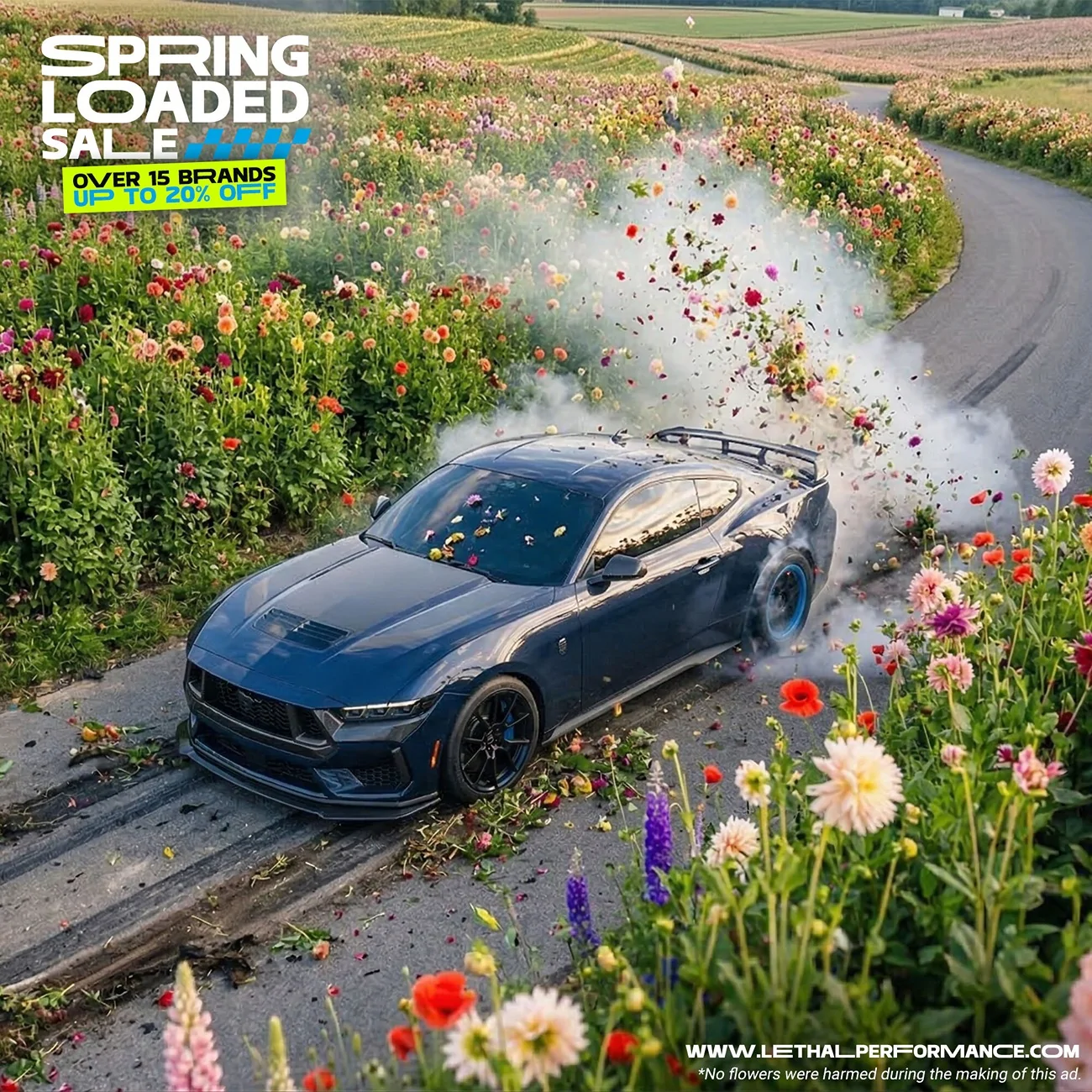 mintext_mustang2.webp