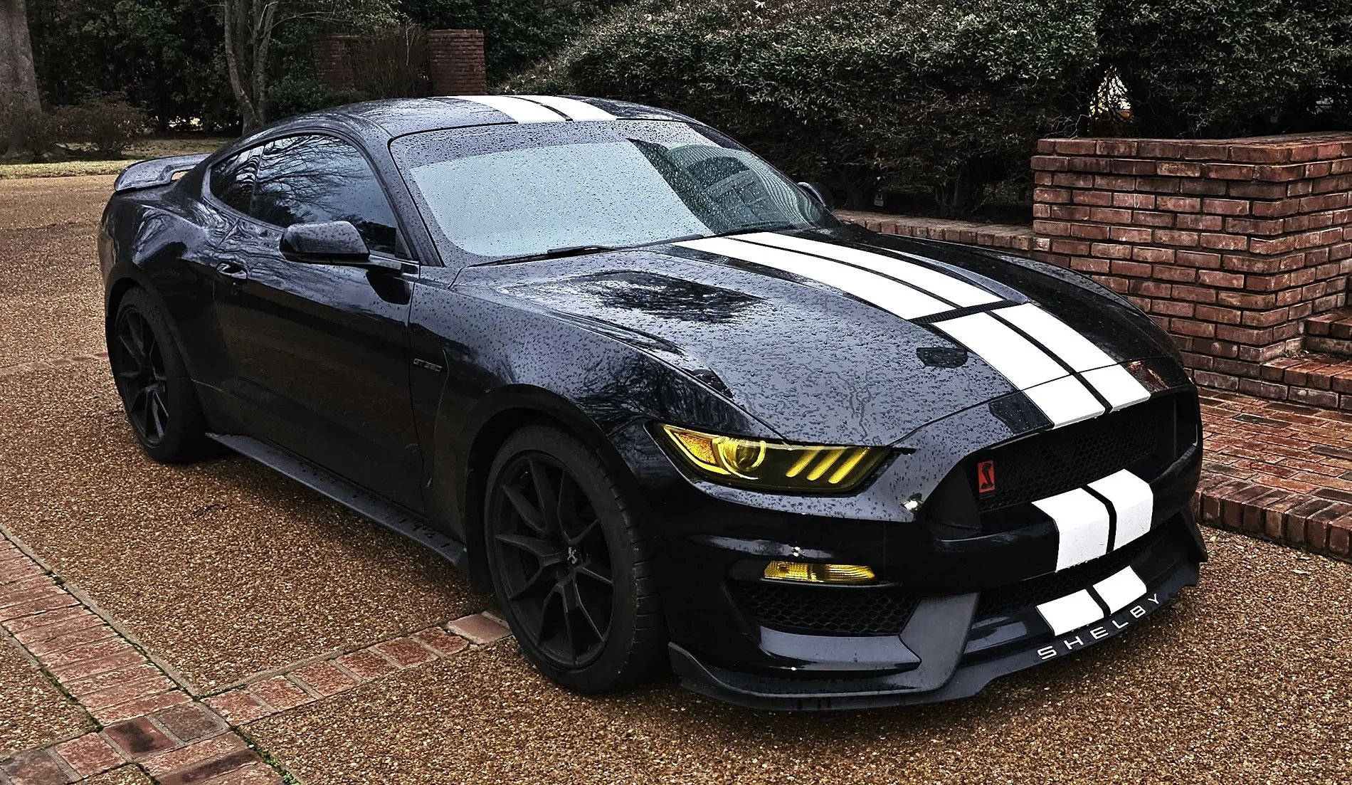 GT350 in the rain 1.webp