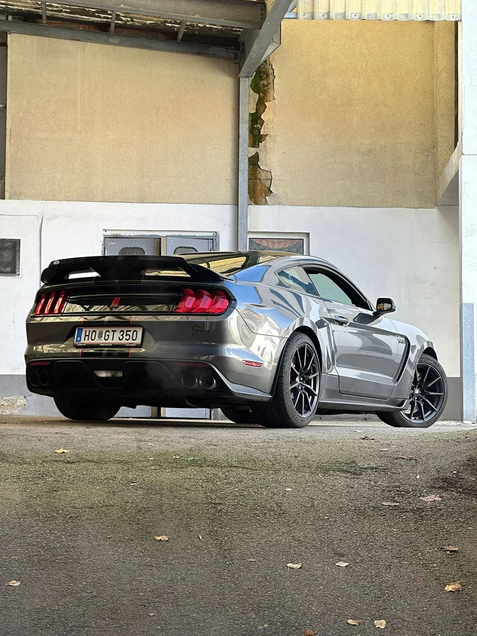 mygt350 rear.webp