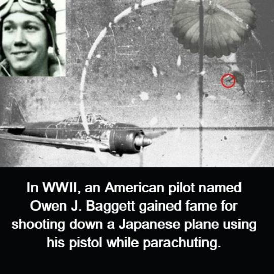 d48b06f2bb23a5fb32f56aeb437db754ae2d8f2f.jpg