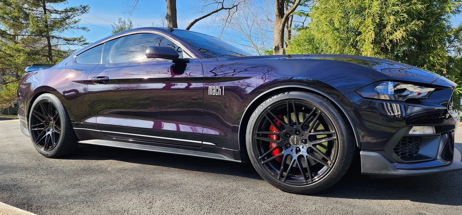 LOWERED.webp