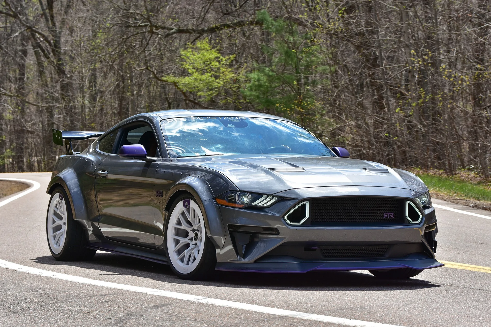US421 Snake Apr 26.webp