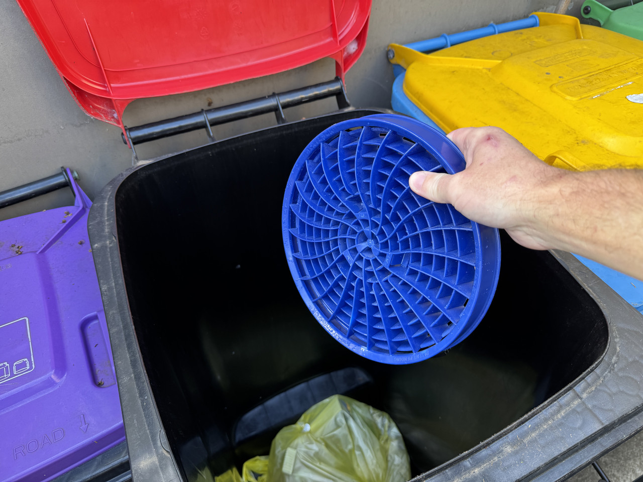 IMG-0703.jpg