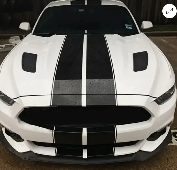 stripe 1.webp