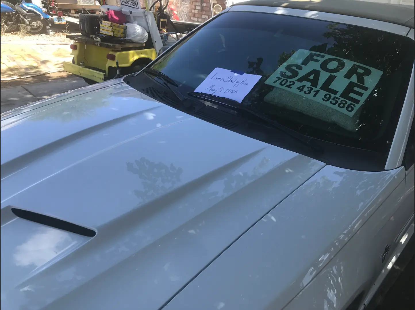 whitie car paper 2.webp