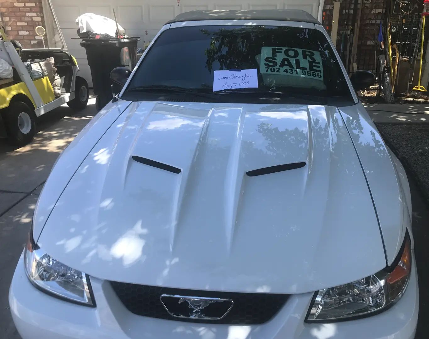 white car paper.webp