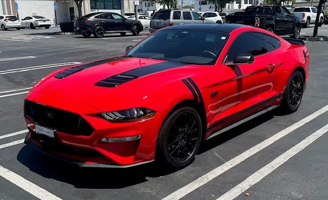 AB Stang.webp