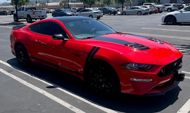 AB Stang 3.webp