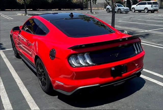 AB Stang 4.webp