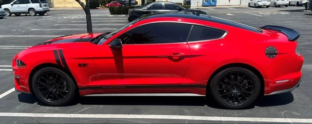 AB Stang 5.webp