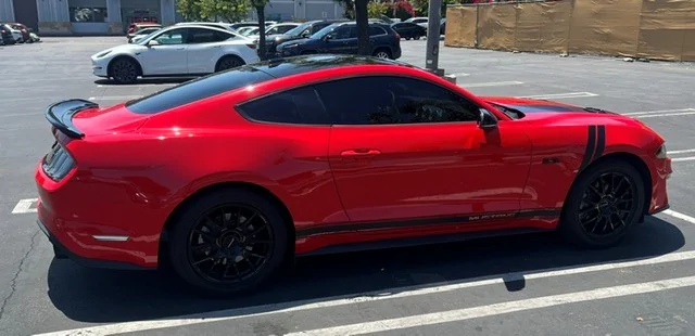 AB Stang 6.webp
