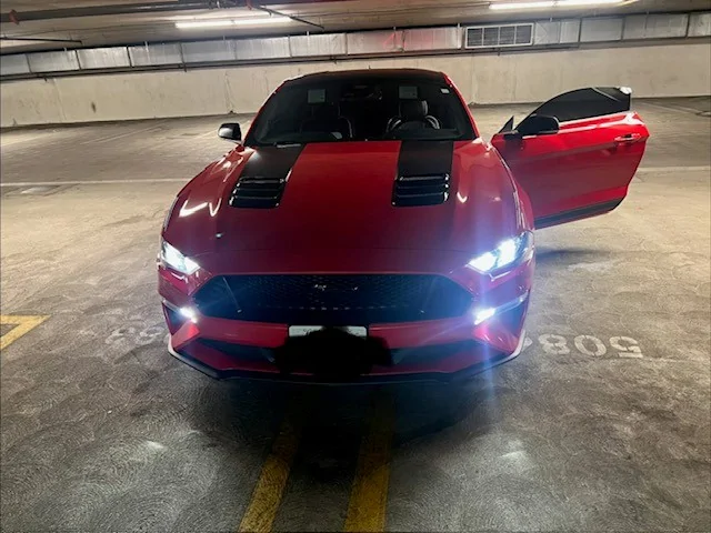 AB Stang 14.webp