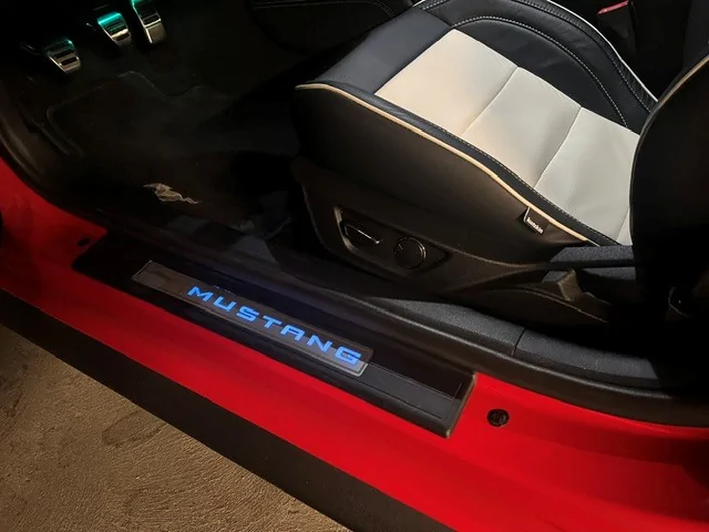 AB Stang 16.webp