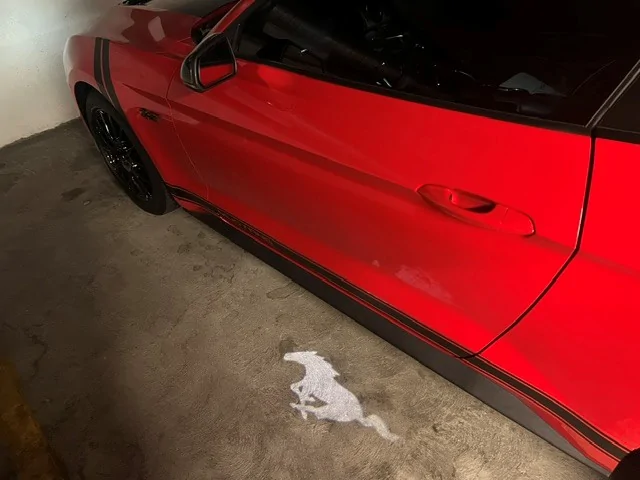 AB Stang 15.webp