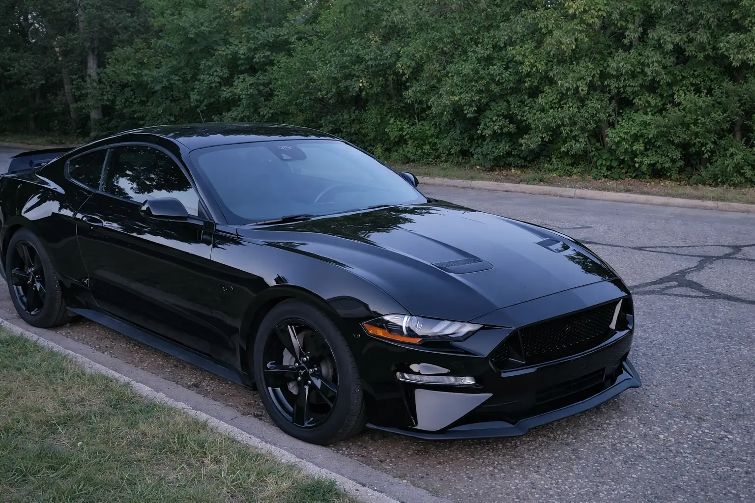 mustang edited.webp