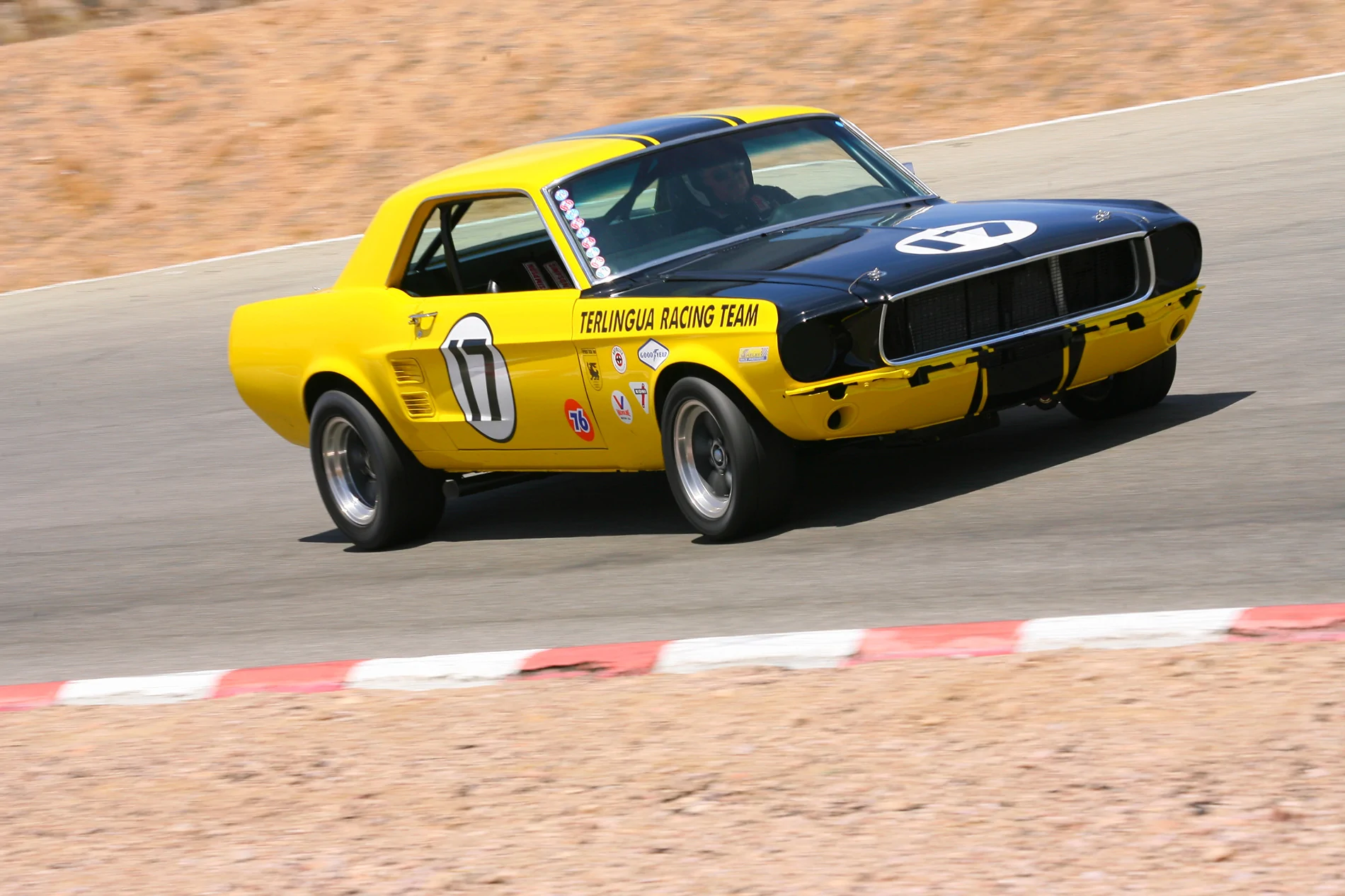 CP2_6095.webp