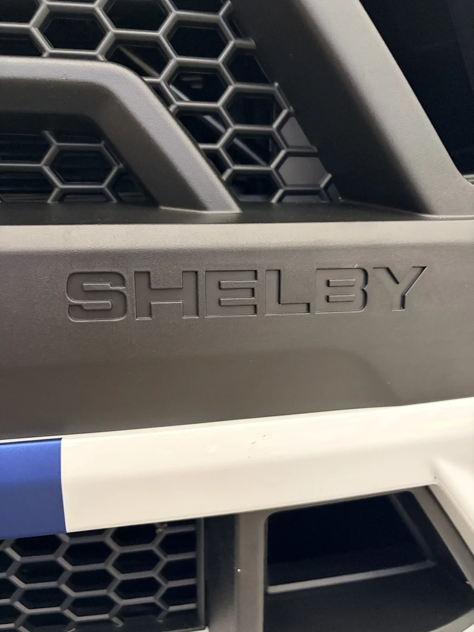 shelby.webp