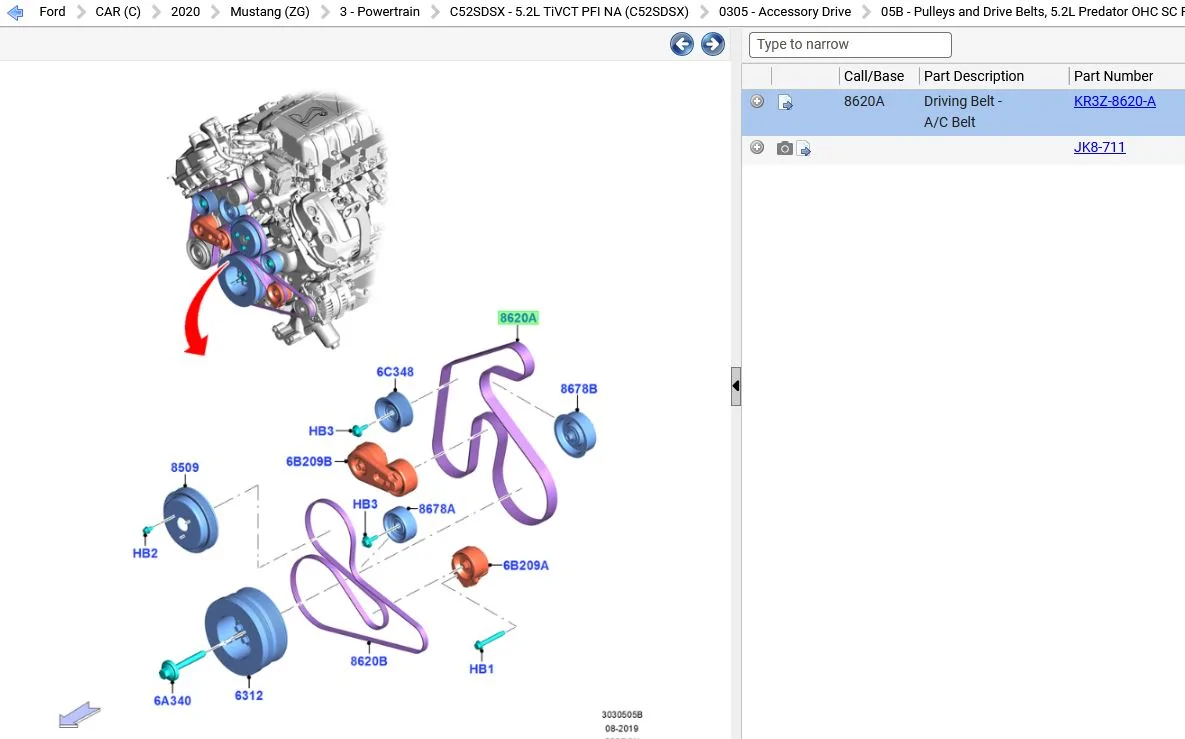 2020 GT500 Belt.webp