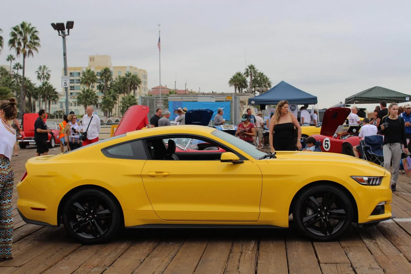 2015-Mustangs-on-Pier-8 - Copy.webp