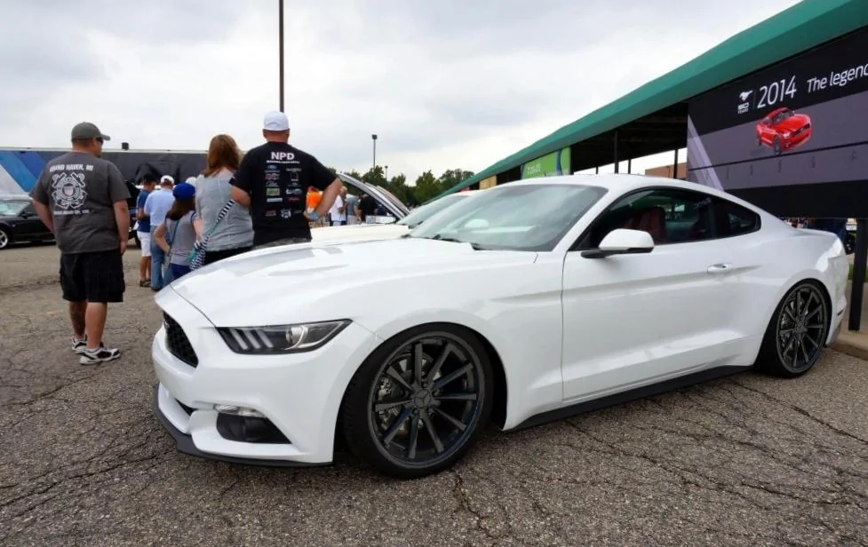 cv1white.webp