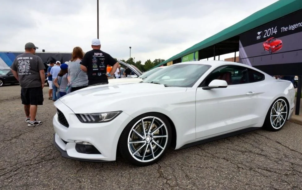 cvt whi.webp