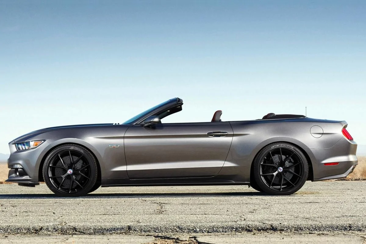 MAGNET_MUSTANG_P101.webp