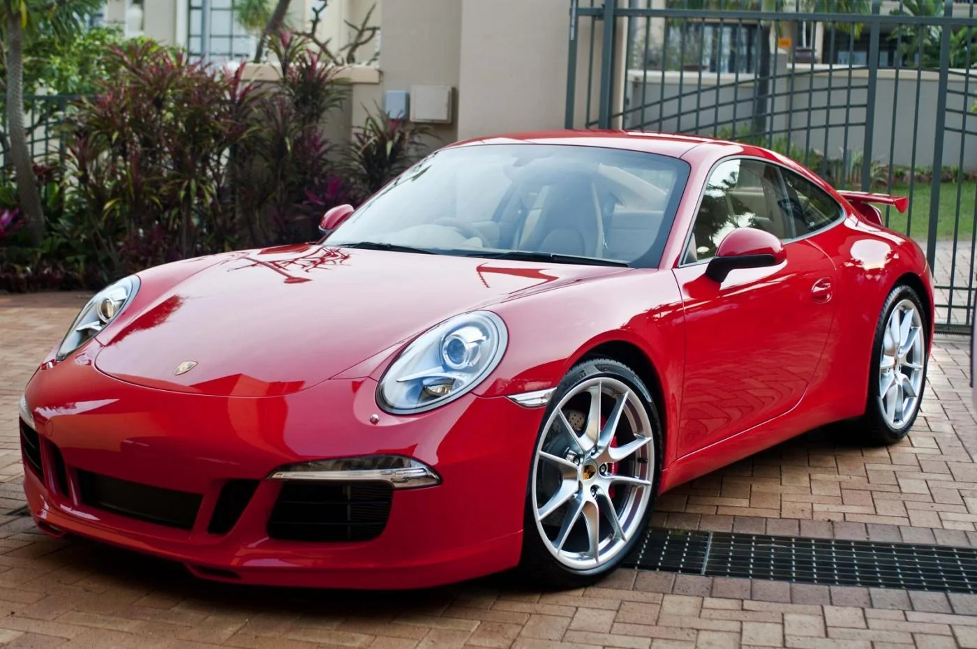 DSC_9118 small.webp