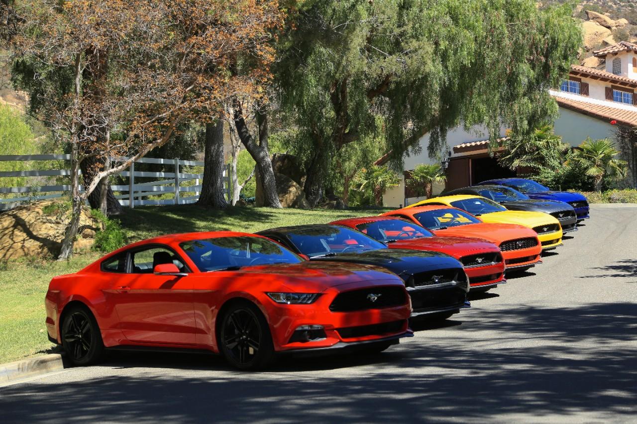 2015-Mustangs-at-the-ranch-005.jpg