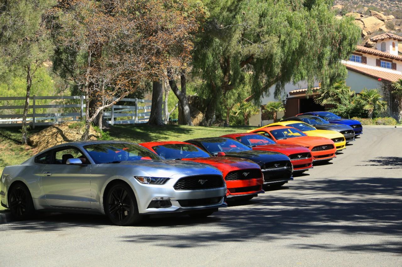 2015-Mustangs-at-the-ranch-003.jpg