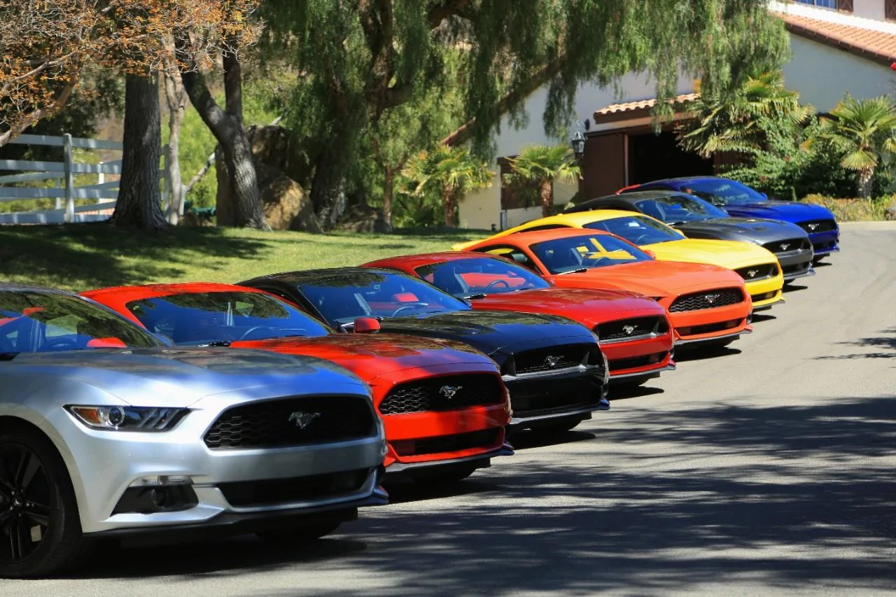 2015-Mustangs-at-the-ranch-002.webp
