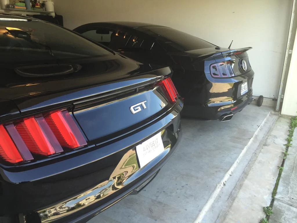IMG_5040_1024.webp