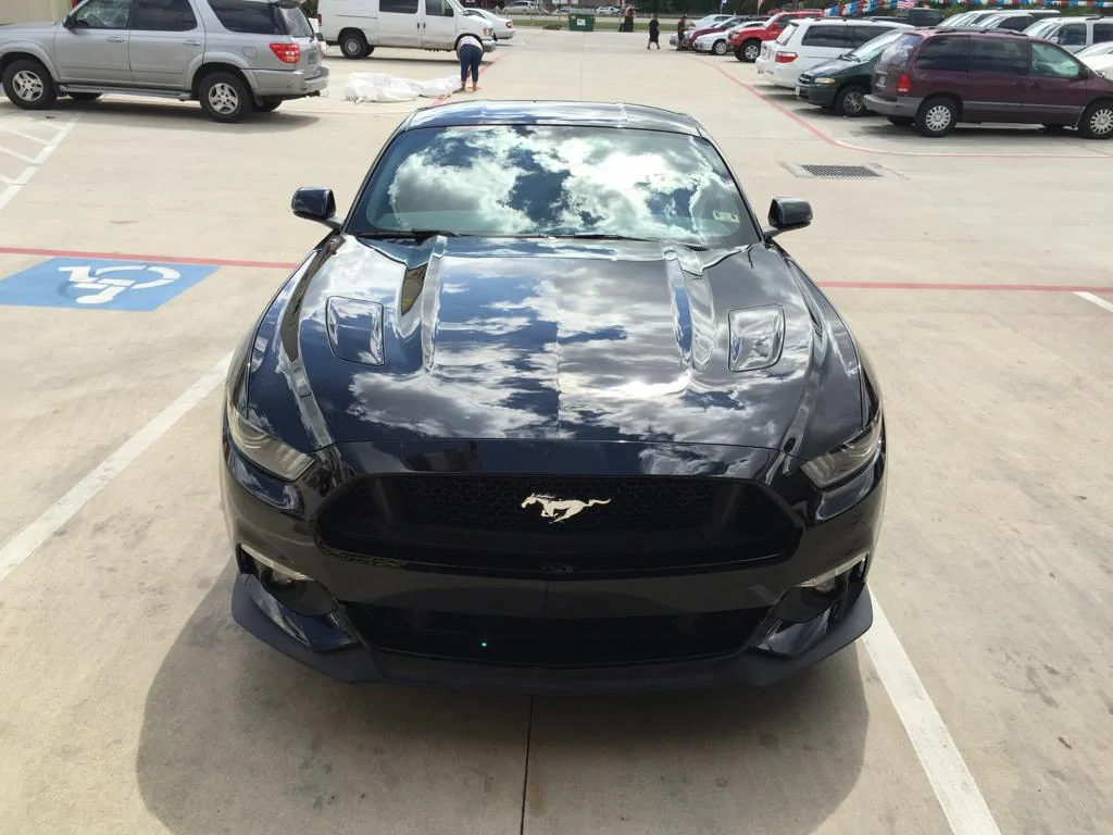IMG_5046_1024.webp