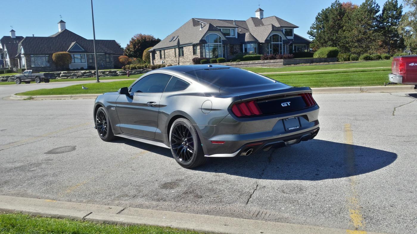 Mu11 tint.jpg