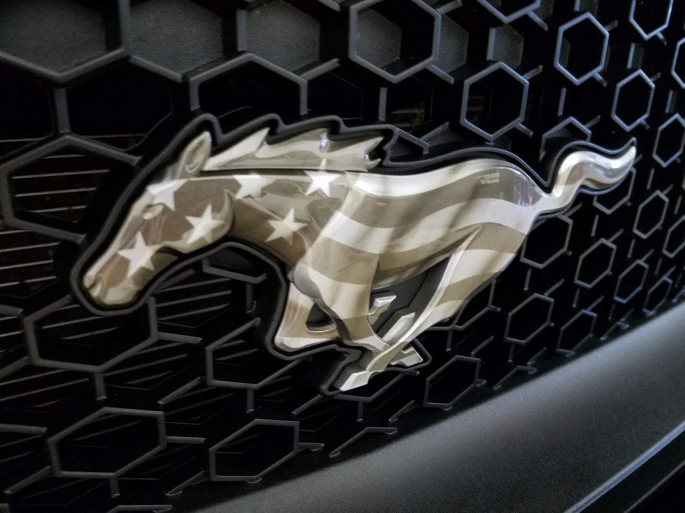 Close up grill pony.webp