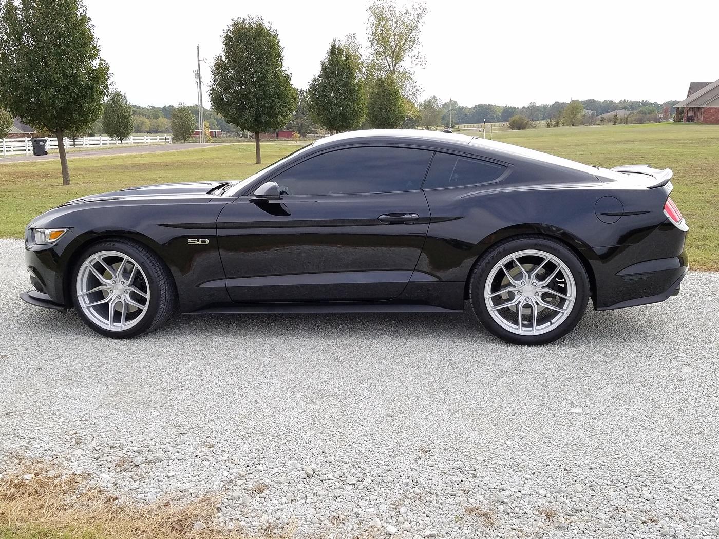 Spoiler full side view.jpg