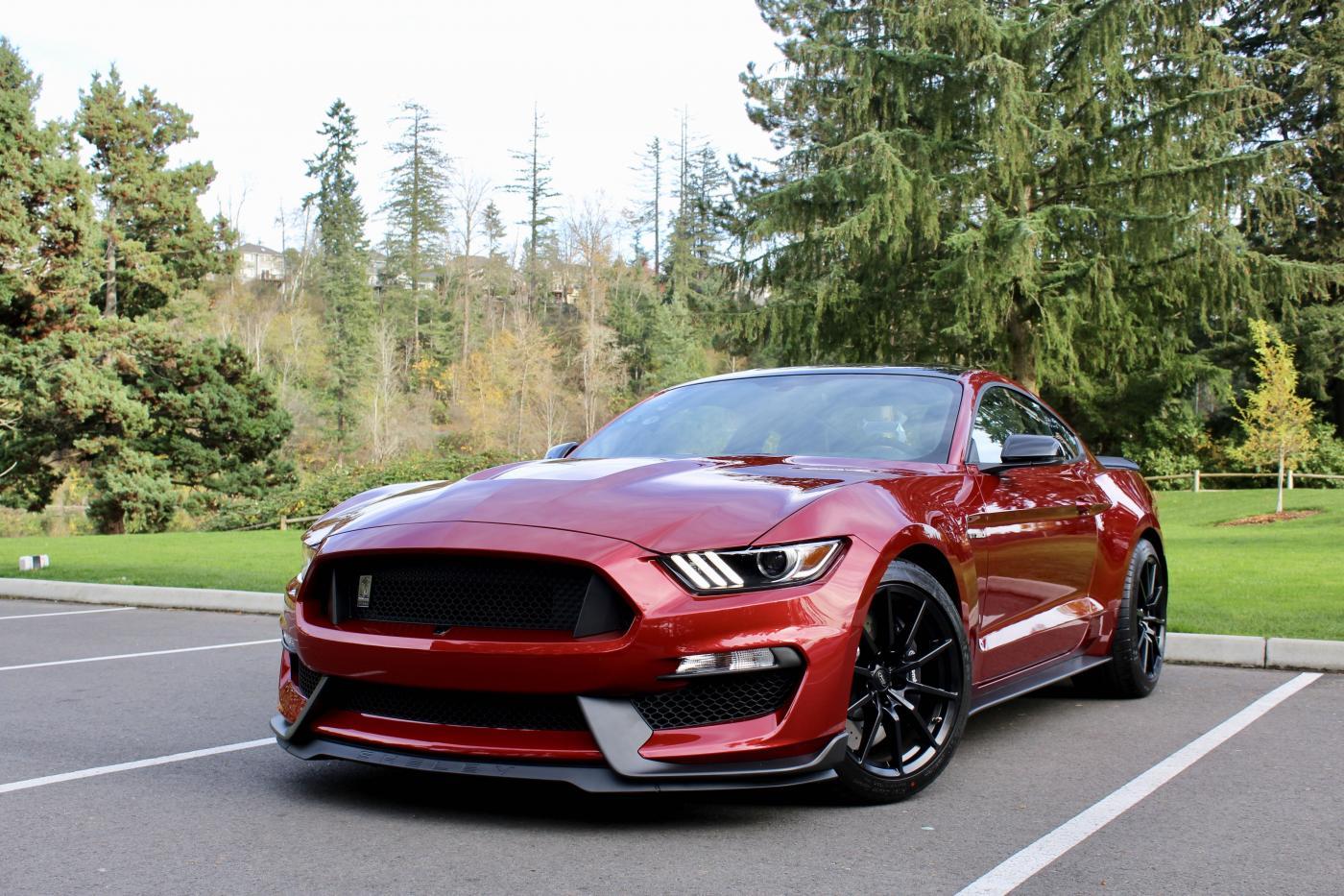 FEF.jpg