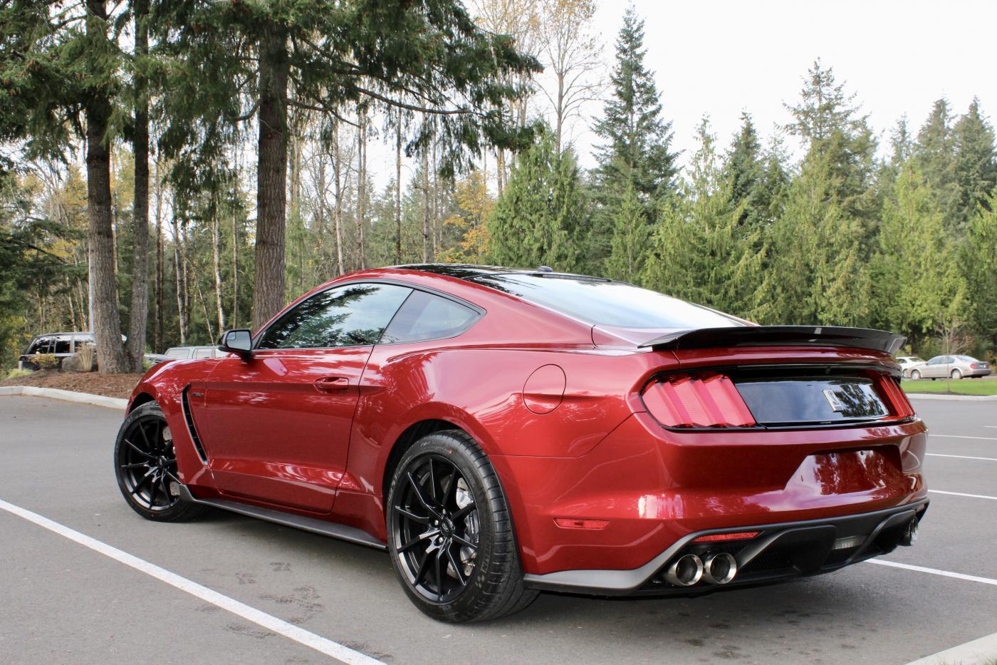 TLT.jpg