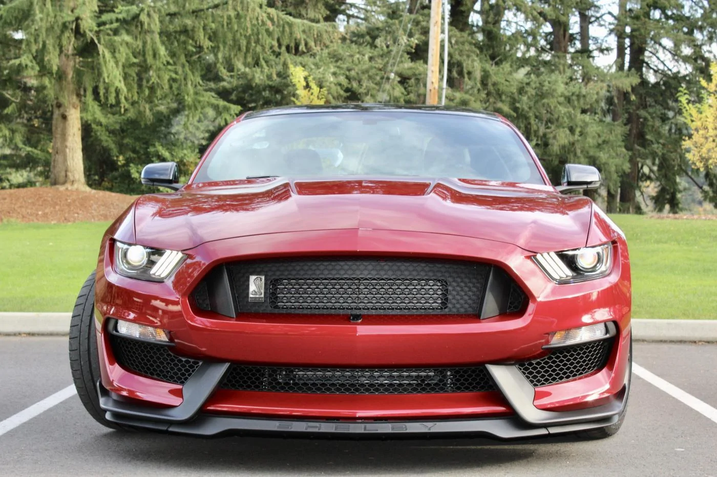 Real FEF.webp