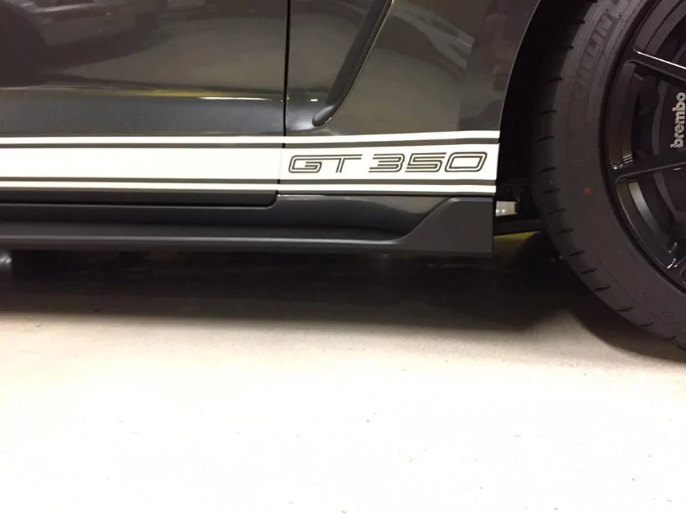 gt350 stripe 3.webp