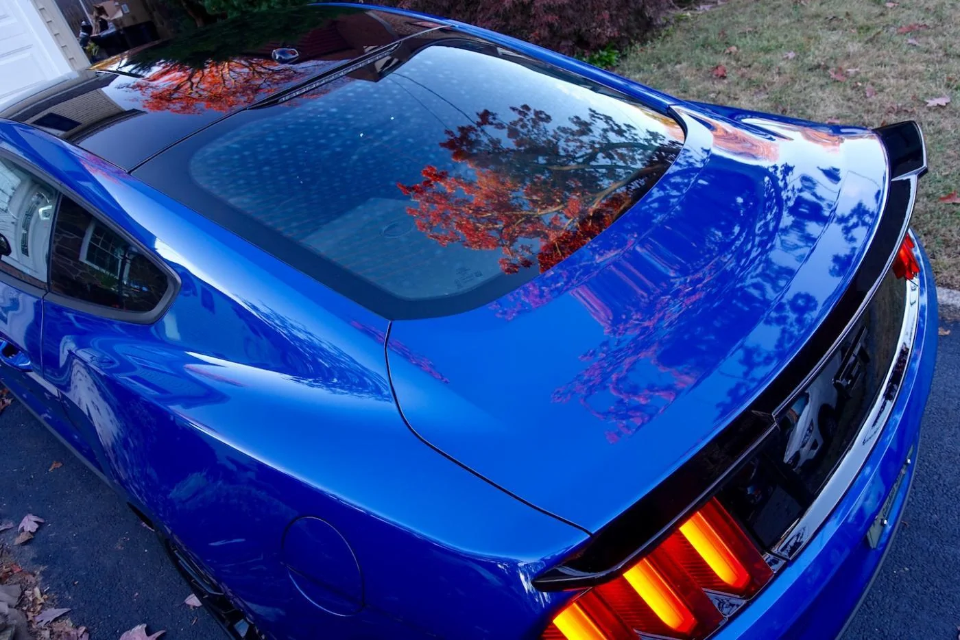 DSC00976.webp