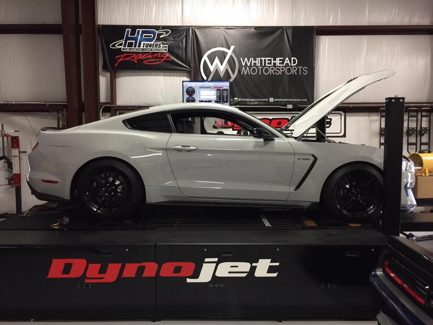 DynoGT350.webp